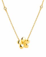 Necklace Ultima Edizione Woman in Silver CAO4660-GIALLO